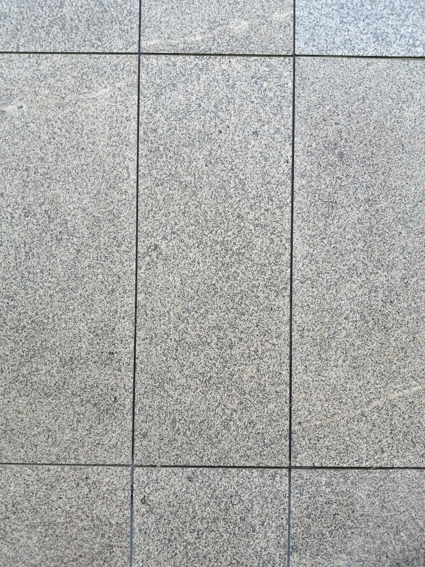 Granitstein Bianco Sardo Fassadenplatten schmale Elemente