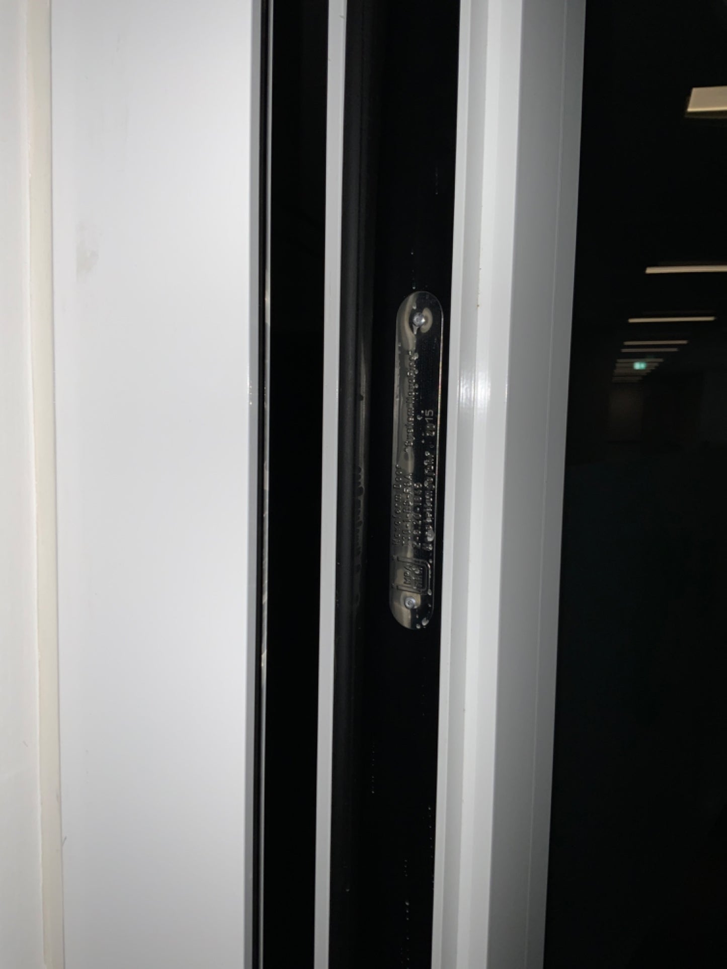 Brandschutztür - innen verglast mit Oberlicht und Seitenpanel 80x1720x2800